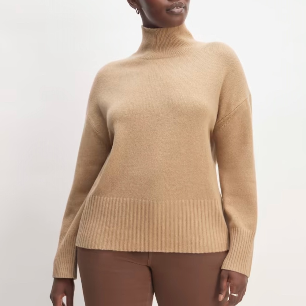 Cashmere Turtleneck (Everlane)